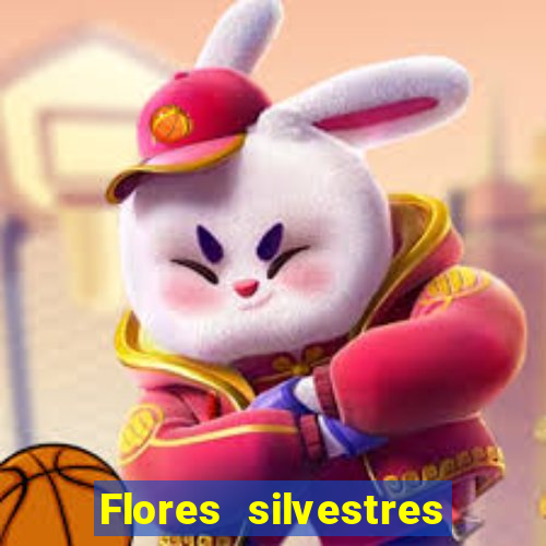 Flores silvestres brasileiras brasileiras flores silvestres nomes e imagens